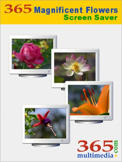 365 Magnificent Flowers Screen Saver 2.1 screenshot 365 Magnificent Flowers Screen Saver 2.1 screenshot