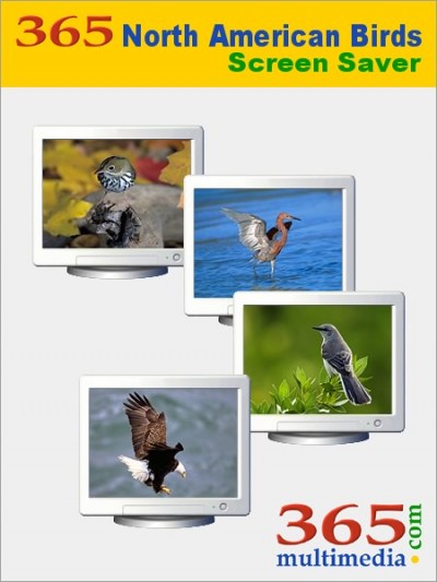 365 North American Birds Screen Saver 2.1 screenshot 365 North American Birds Screen Saver 2.1 screenshot
