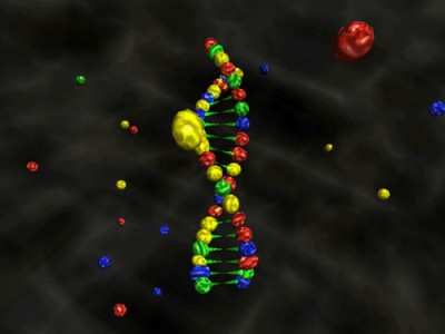 3D DNA ScreenSaver 1.0 screenshot 3D DNA ScreenSaver 1.0 screenshot