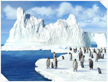 3D Penguins ScreenSaver 1.0 screenshot 3D Penguins ScreenSaver 1.0 screenshot