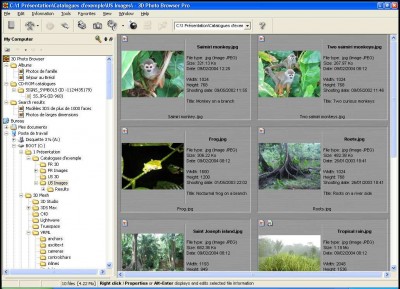 3D Photo Browser for Digital Camera 8.5 screenshot 3D Photo Browser for Digital Camera 8.5 screenshot