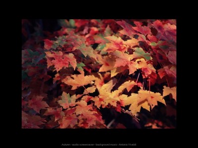4 Seasons - Screensavers 4.3 screenshot