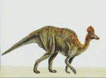 7art Dinosaurs Free ScreenSaver 1.0 screenshot