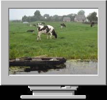 Absolute Europe Screen Saver 2.5 screenshot