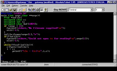 AbsoluteTelnet 4.01 screenshot
