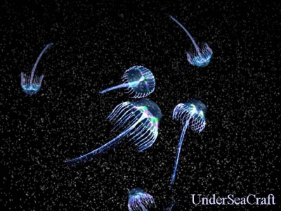 Active Jellyfish Screensaver 1.0 screenshot