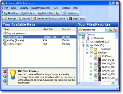 Advanced File Protector 2.2 screenshot Advanced File Protector 2.2 screenshot