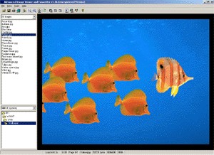 Advanced Image Viewer and Converter 1.6 screenshot