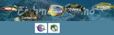 AeroTags Flash Design 1.0 screenshot