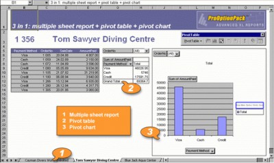 AfalinaSoft XL Report for C++Builder 4.2.123 screenshot