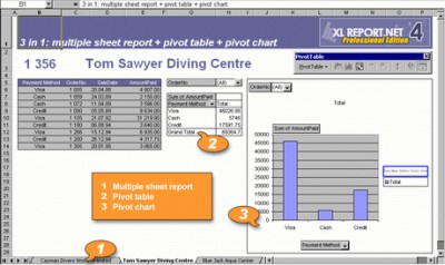 AfalinaSoft XL Report.NET 4.5 screenshot AfalinaSoft XL Report.NET 4.5 screenshot