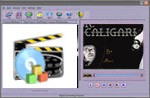 All Video DVD Manager 2.178.45 screenshot