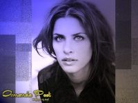 Amanda Peet Screensaver 1.0 screenshot