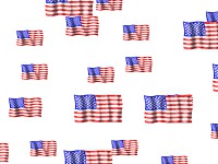 American Flag Screen Saver 1.0 screenshot American Flag Screen Saver 1.0 screenshot