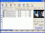 Amor AVI DivX to VCD SVCD DVD Converter 1.6 screenshot