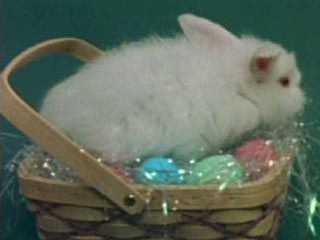 Animated Happy Easter Screensaver 1.0 screenshot Animated Happy Easter Screensaver 1.0 screenshot