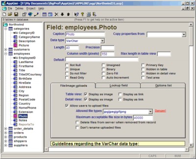 AppGini PHP Code Generator For MySQL 3.01 screenshot