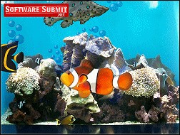 Aquarium Screensaver by Dream Computers Pty Ltd 1.0 screenshot Aquarium Screensaver by Dream Computers Pty Ltd 1.0 screenshot