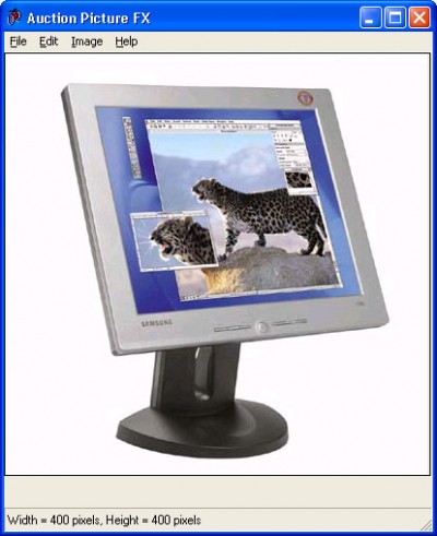 Auction Picture FX 1.91 screenshot Auction Picture FX 1.91 screenshot