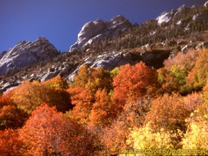Autumn Colors 3.0 screenshot