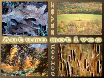 Autumn Motives Screensaver 1.1 screenshot