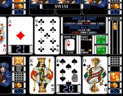 AVIAN CARDS AND JEWELS 1.00 screenshot