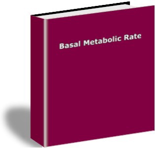 Basal Metabolic Rate 1.0 screenshot Basal Metabolic Rate 1.0 screenshot