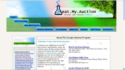 BeatMyAuction Make Money Online Guide 3.21 screenshot