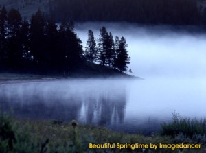 Beautiful Springtime 1.0 screenshot