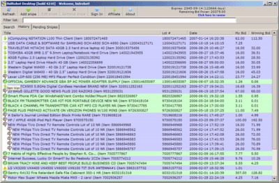 BidRobot eBay Auction Snipe & AutoSearch 4.0 screenshot