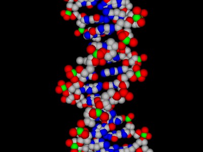 BioMolecula 3D ScreenSaver 1.1 screenshot BioMolecula 3D ScreenSaver 1.1 screenshot