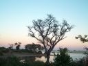 Botswana Screen saver 1.0 screenshot