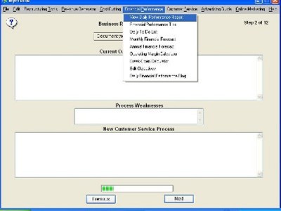 Business Restructuring Expert 1.7 screenshot Business Restructuring Expert 1.7 screenshot