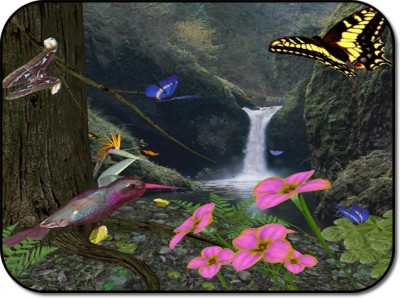 Butterflies3D 1.0 screenshot Butterflies3D 1.0 screenshot