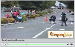 Cinema Flash Video Component 1.0 screenshot