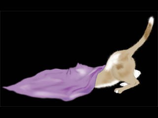 Classic Cats screensaver 1.4 screenshot Classic Cats screensaver 1.4 screenshot