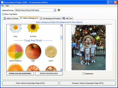 Create A Plate 2008 2.0.0.1 screenshot Create A Plate 2008 2.0.0.1 screenshot