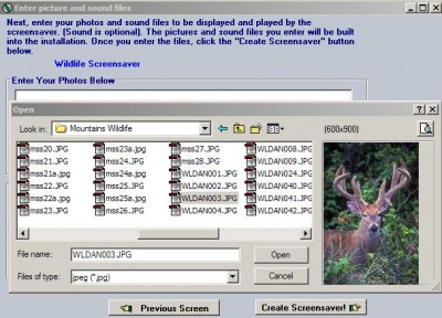 Create and Distribute Screensavers 3.11f screenshot Create and Distribute Screensavers 3.11f screenshot