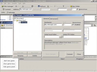 Crystal FTP Pro 2.8 screenshot