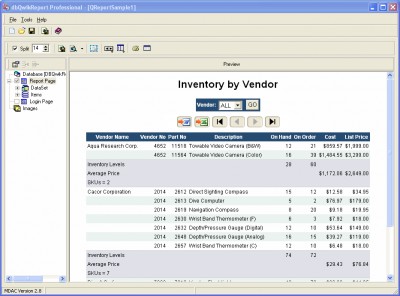 dbQwikReport Pro 1.1 screenshot