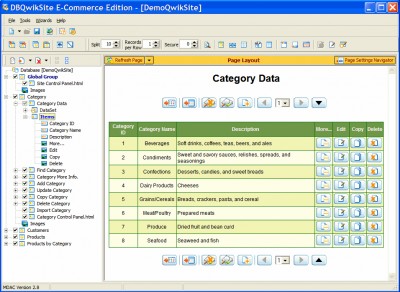 dbQwikSite Professional Edition 4.1 screenshot dbQwikSite Professional Edition 4.1 screenshot
