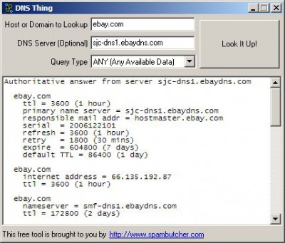 DNS Thing 1.0a screenshot