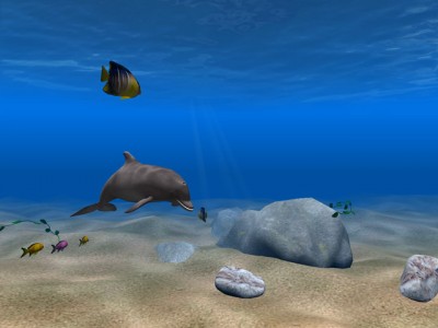 Dolphin Aqua Life 3D Screensaver 2.7 screenshot Dolphin Aqua Life 3D Screensaver 2.7 screenshot
