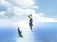 Dolphin Dreams Screensaver 5.5 screenshot Dolphin Dreams Screensaver 5.5 screenshot