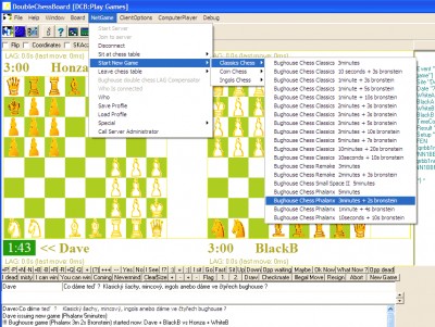 DoubleChessBoard 1.22Free screenshot