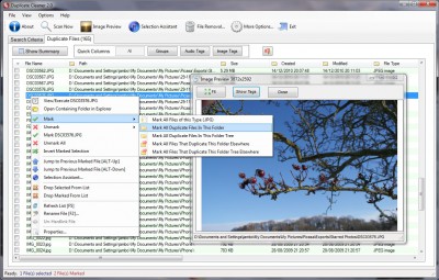 Duplicate cleaner 1.2 screenshot Duplicate cleaner 1.2 screenshot