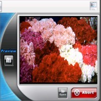 dvdXsoft DVD to iPod Convert 1.09 screenshot
