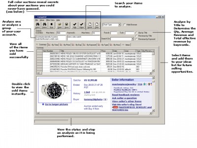 eBay Analysis 3.1 screenshot