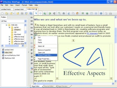 Effective-WebPage 1.002042 screenshot Effective-WebPage 1.002042 screenshot