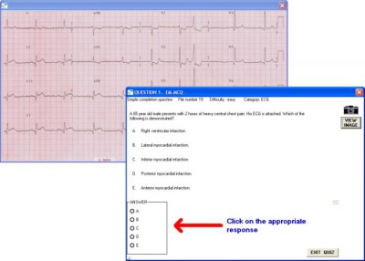EM.MCQ 2.0.5 screenshot